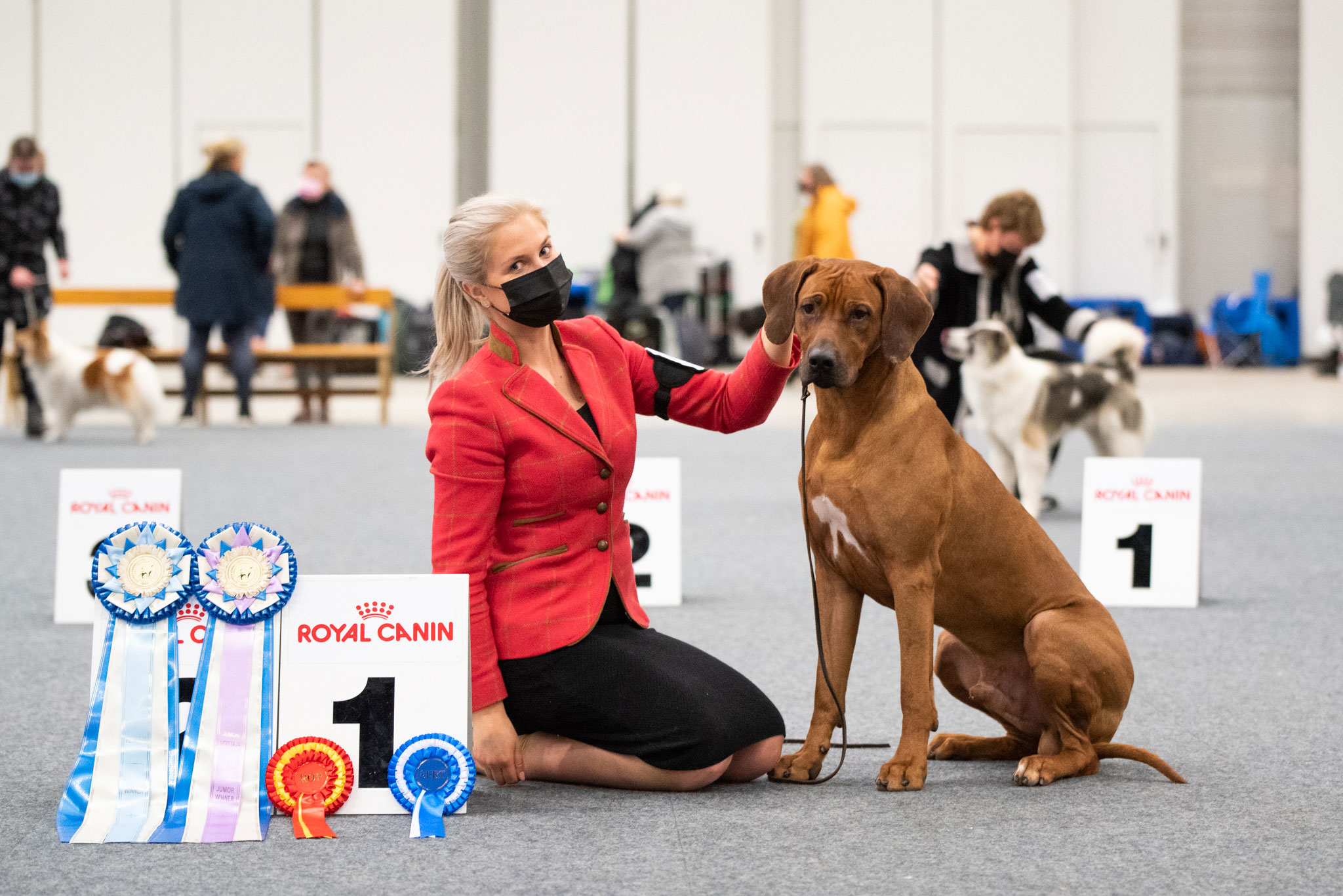 International Dog Show, Finnish Winner